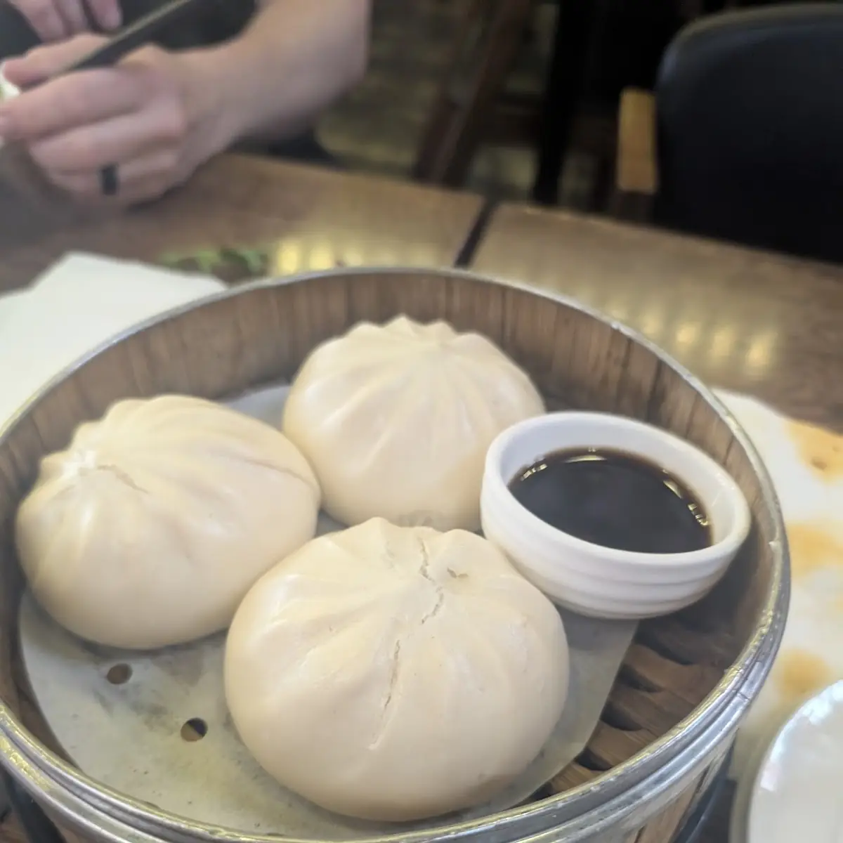 Pan-Fried Jumbo Pork Buns