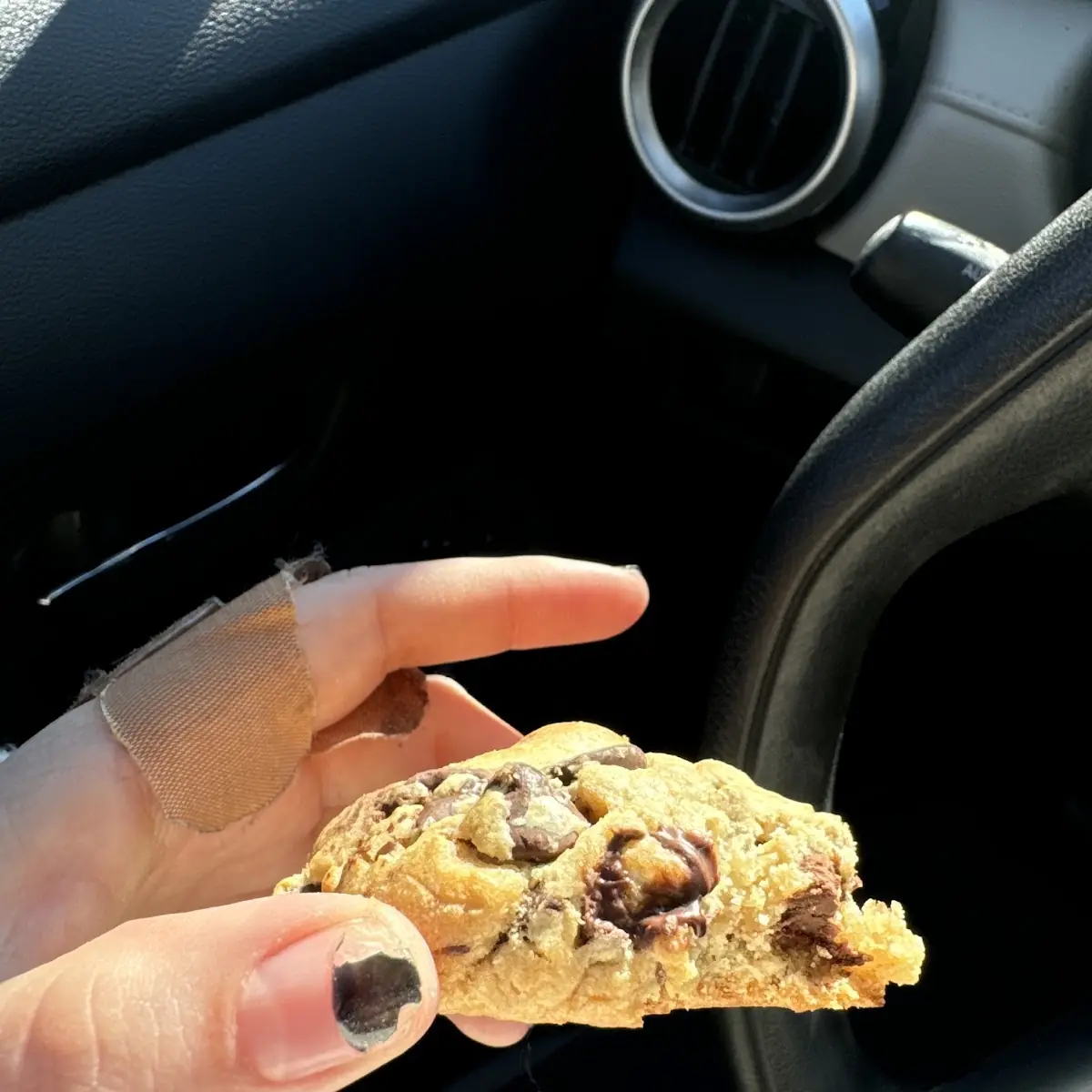 Chocolate Chip Cookie