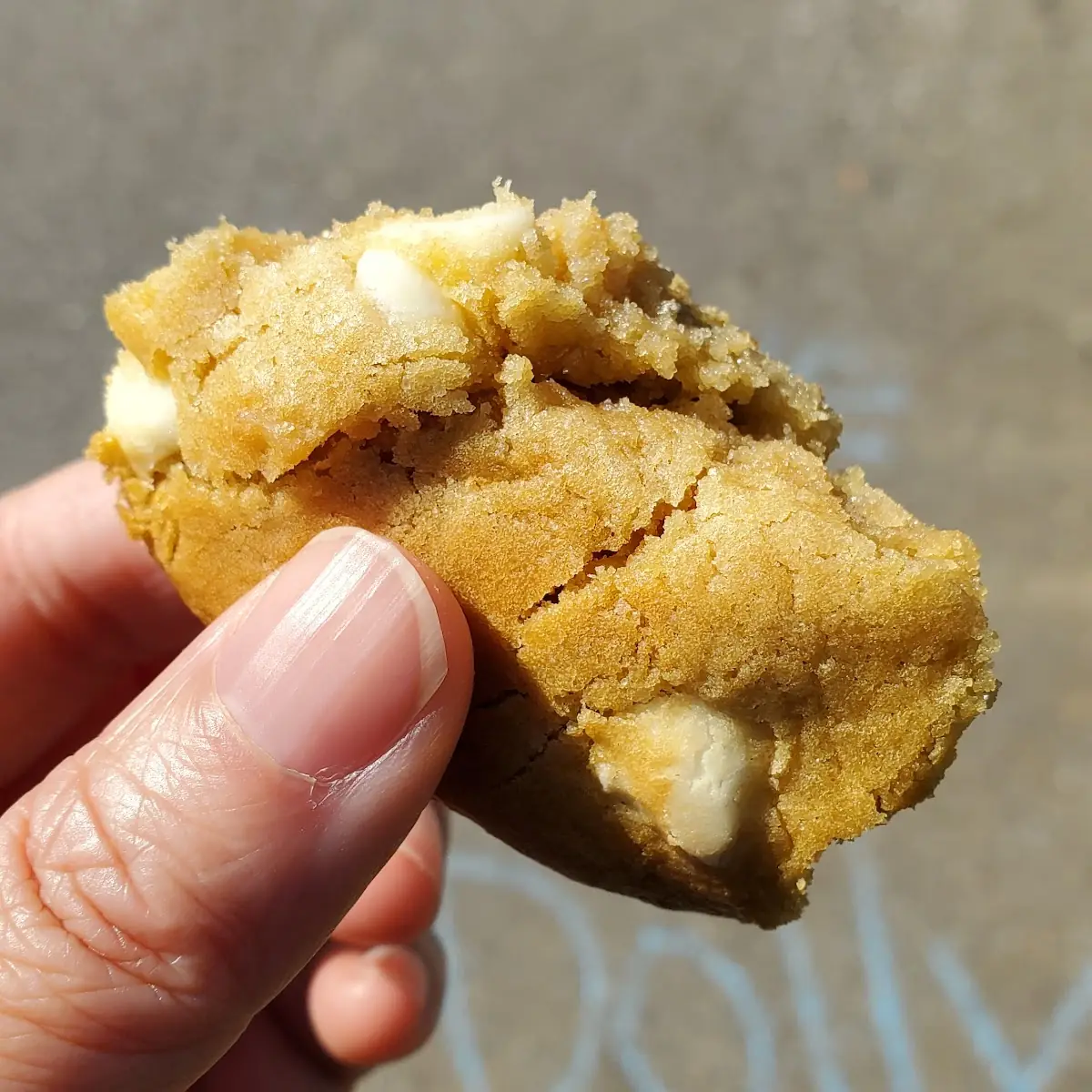 White Chocolate Macadamia Nut Cookie