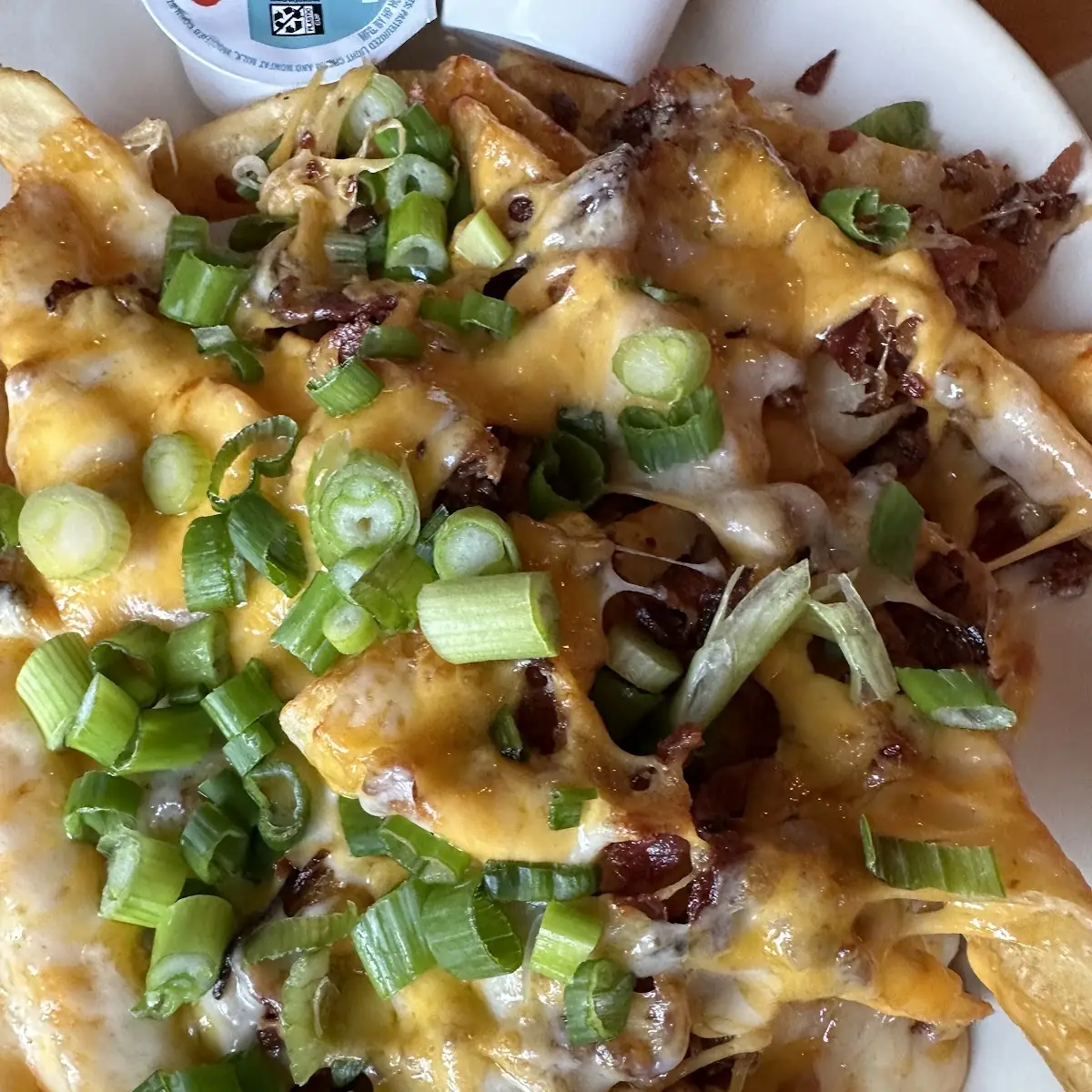 Loaded Fries