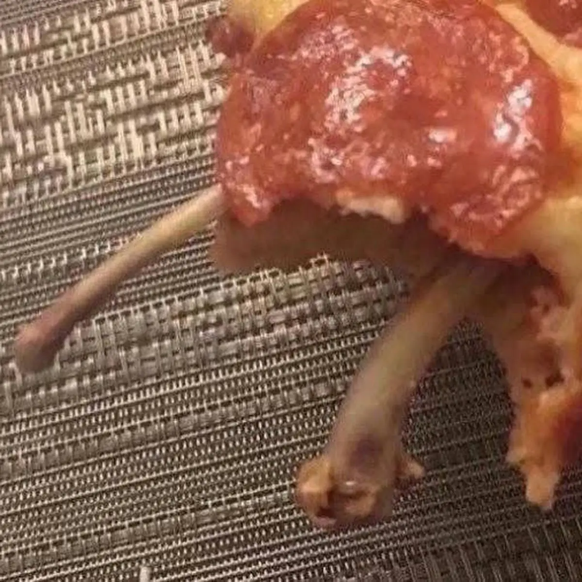 Pepperoni Pizza w Bones