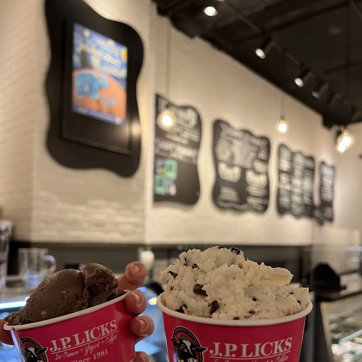 Mint Chocolate Chip Ice Cream