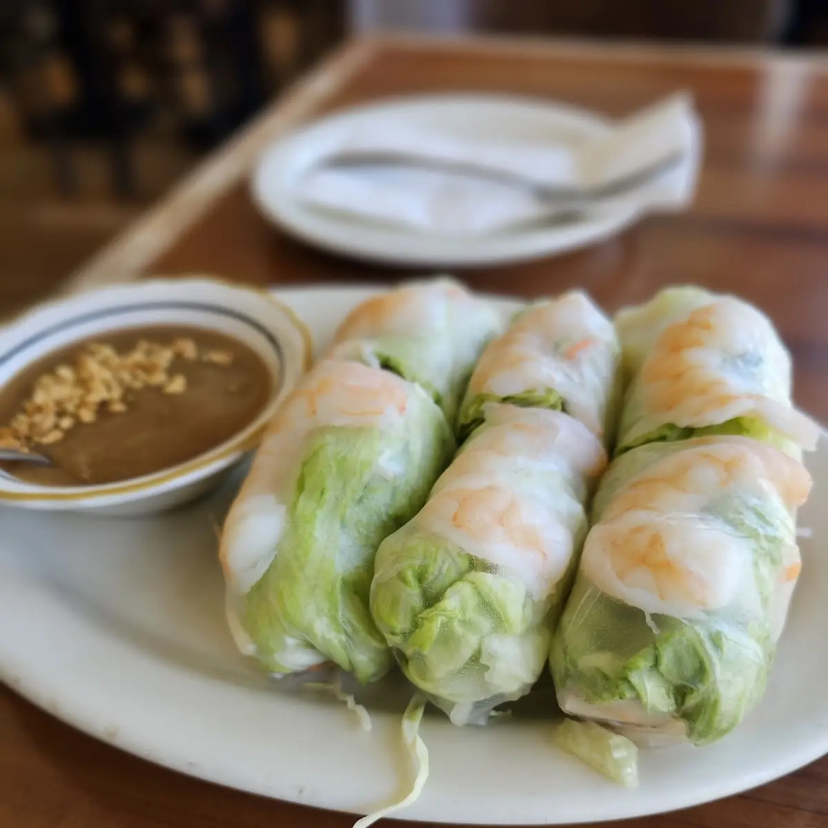 Summer Spring Roll