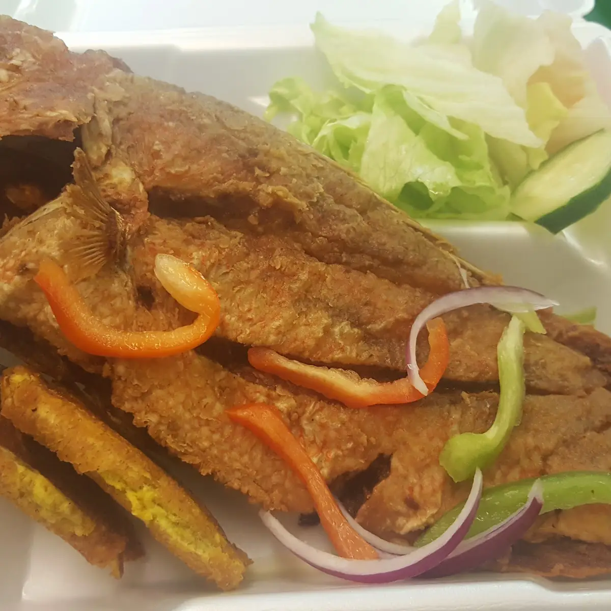 Fried Red Snapper Pwason Frit