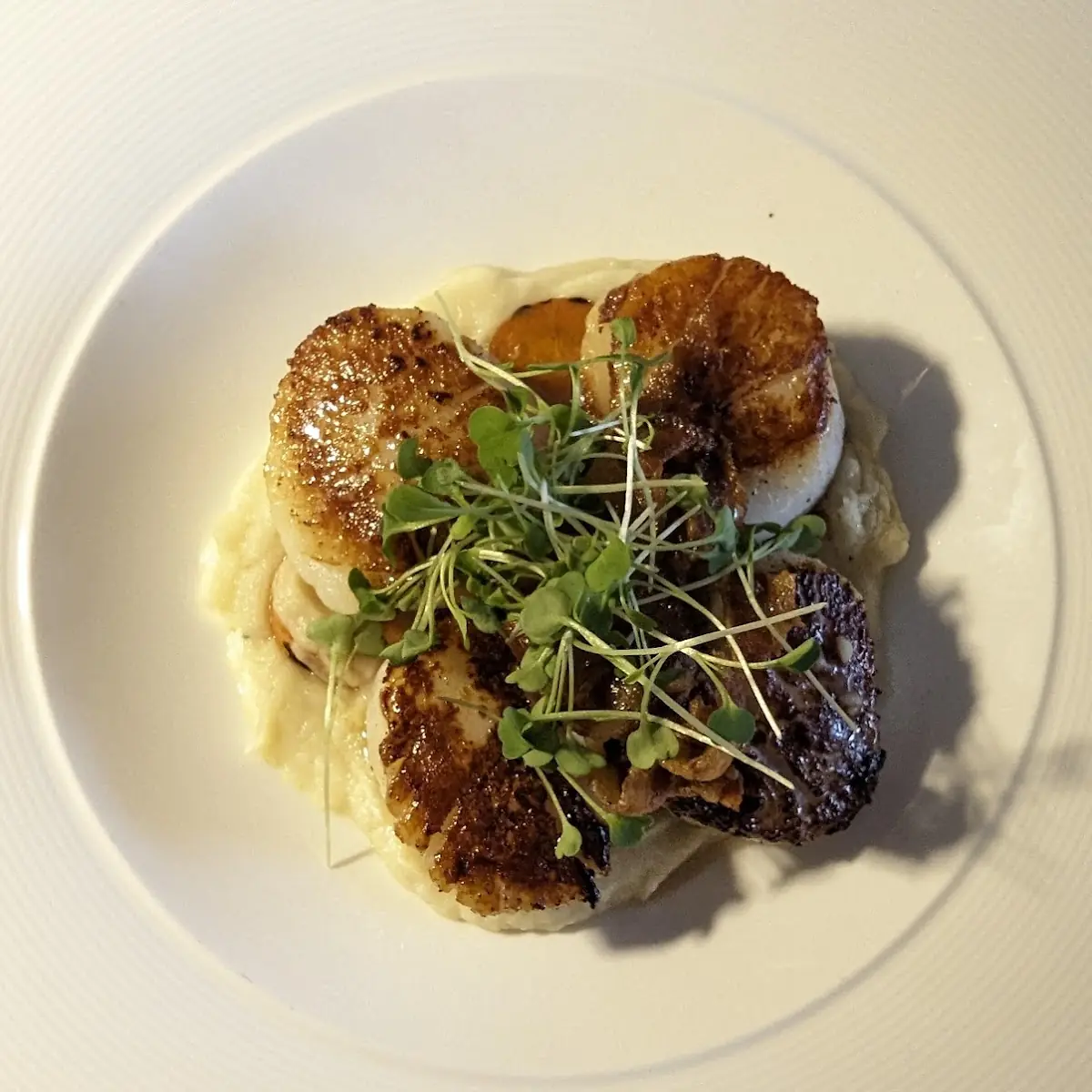 Seared Scallops