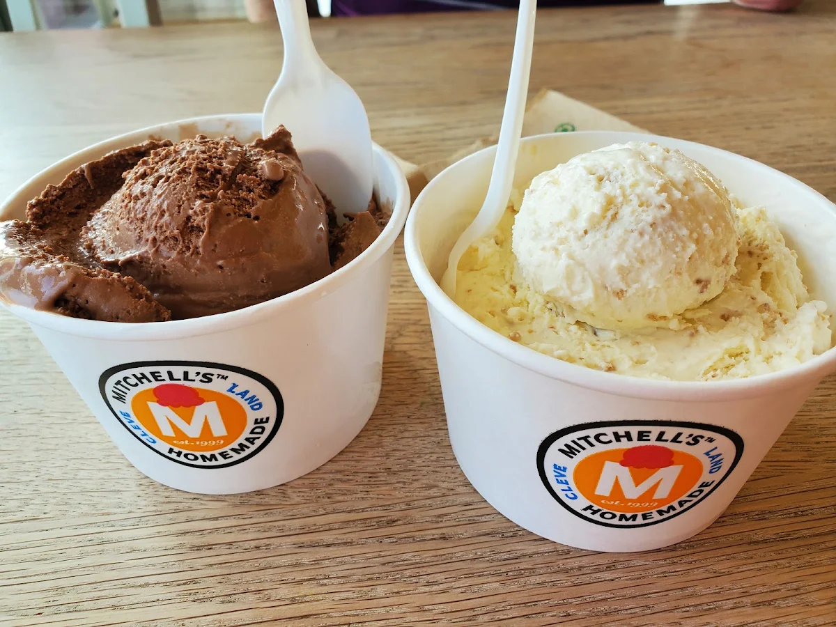 Double Chocolate and Coffee Ice Cream