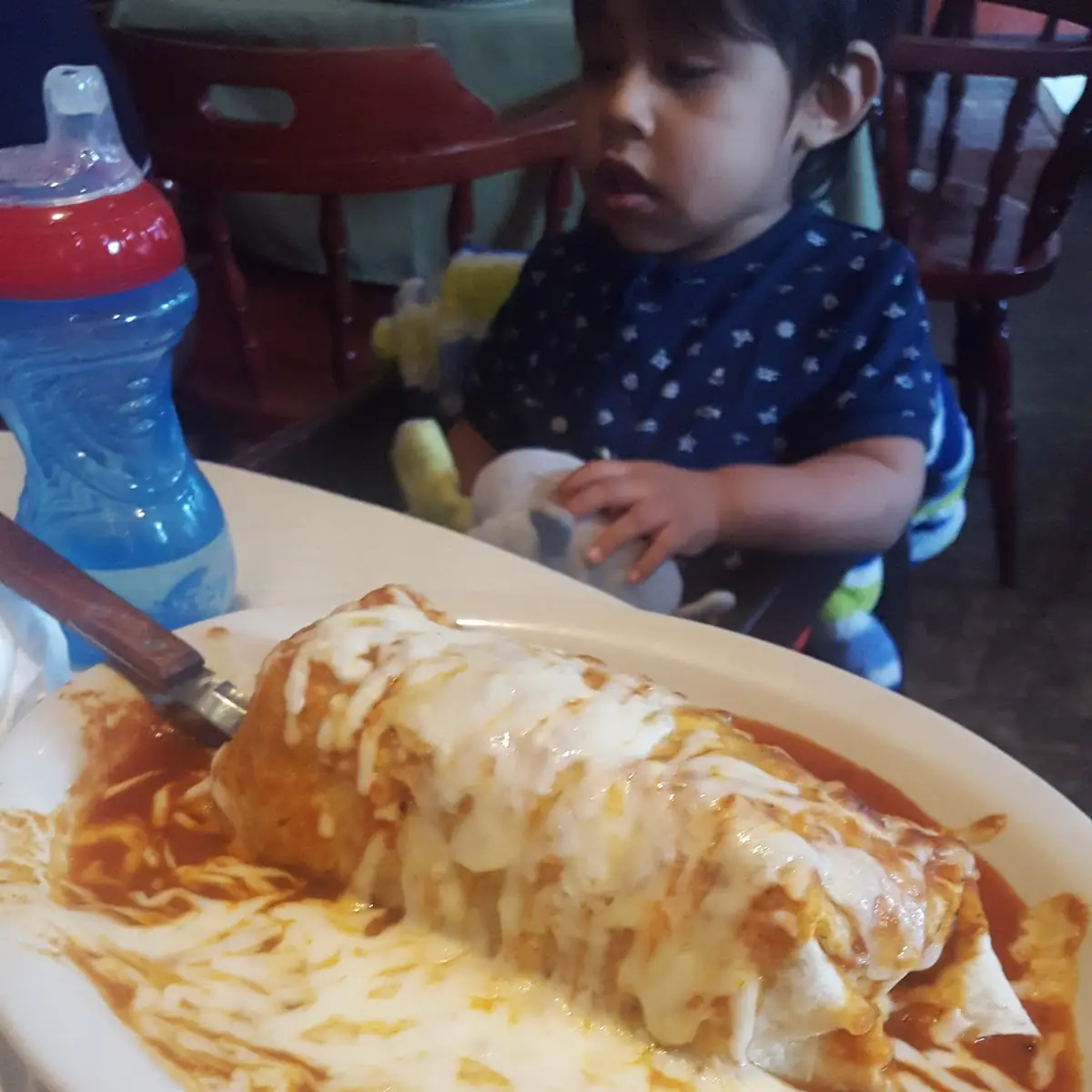Wet Burrito
