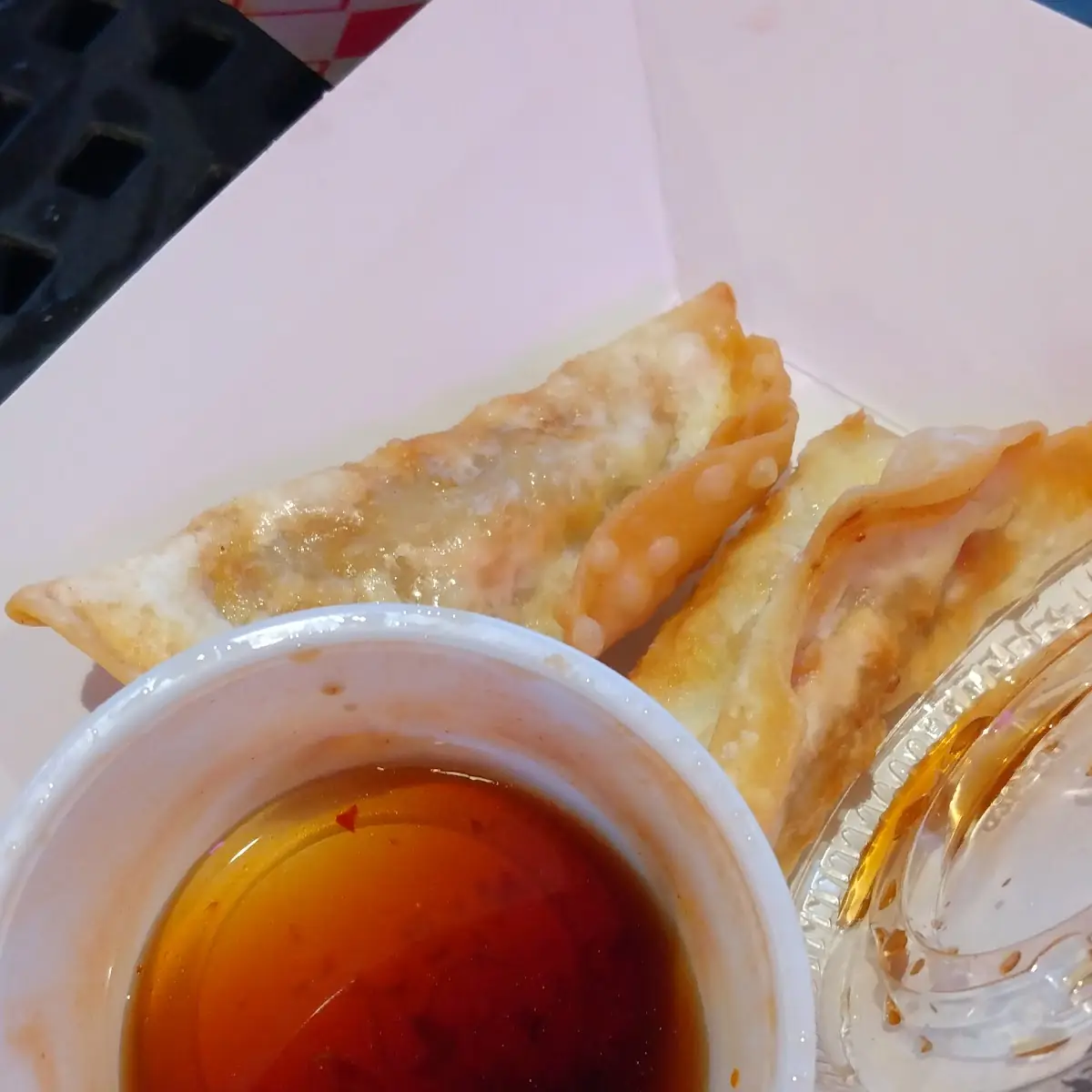 Fried Dumplings