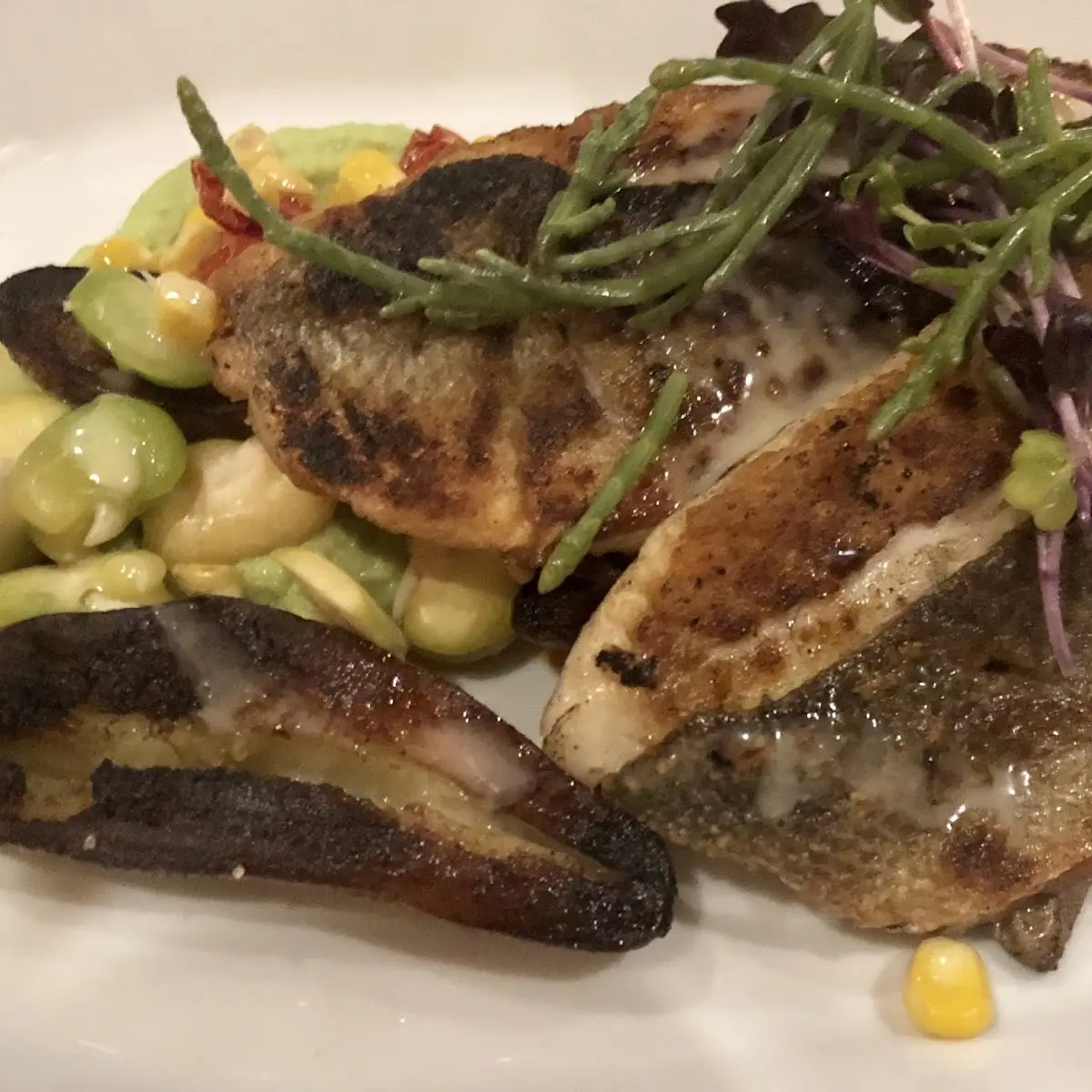 Sea Bass