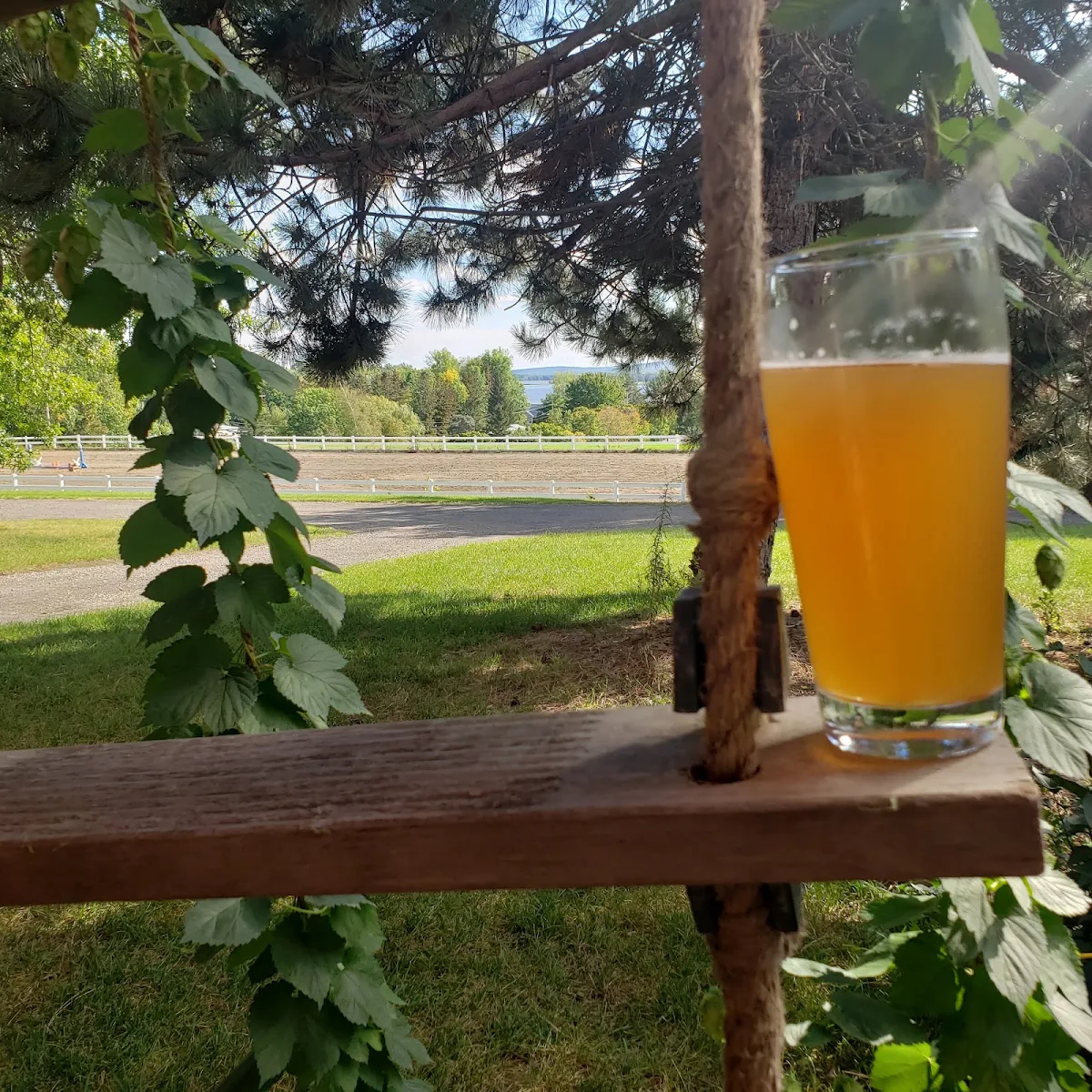 Bière Bec de Cheval, Wilsy - Brewery & Distillery