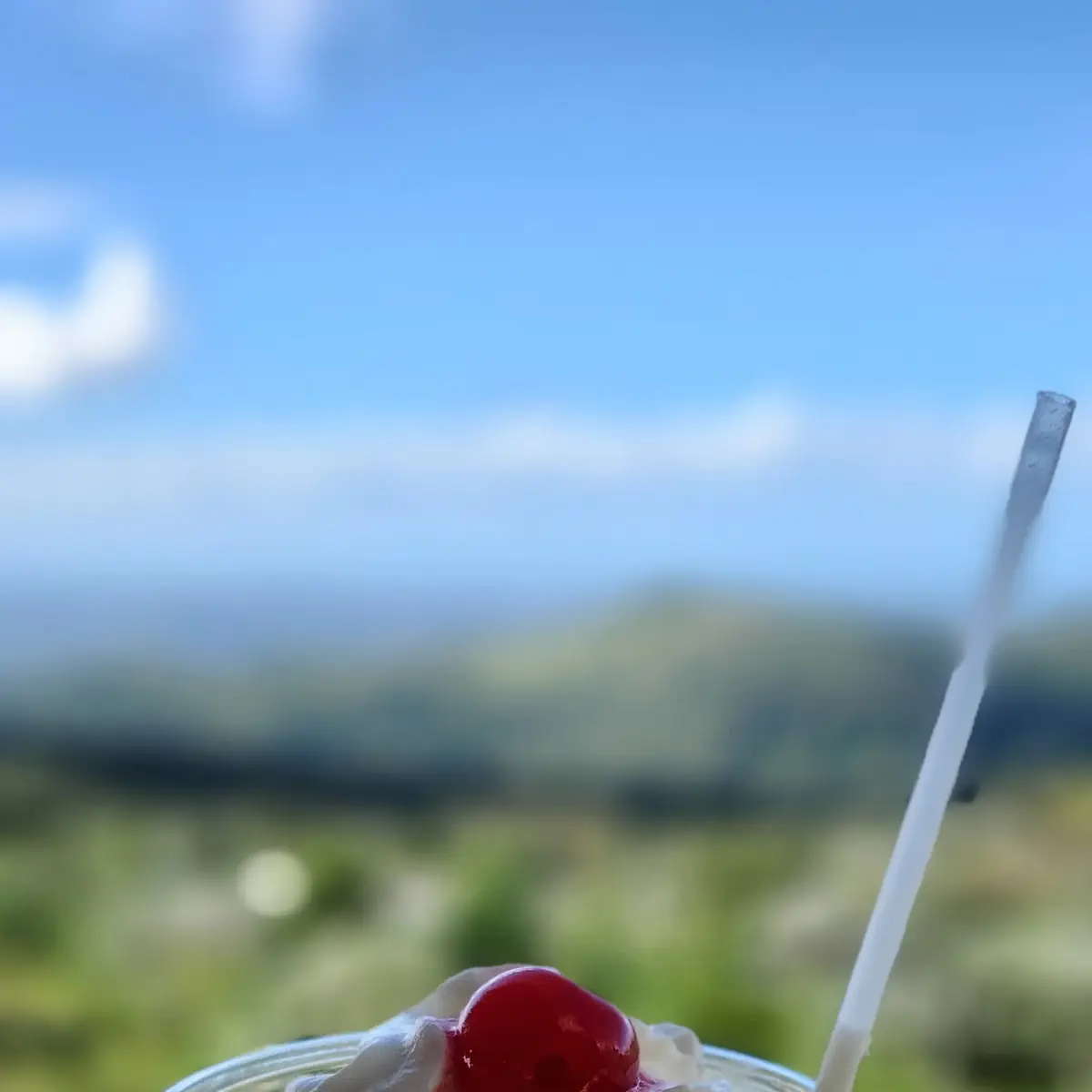 Piña Colada