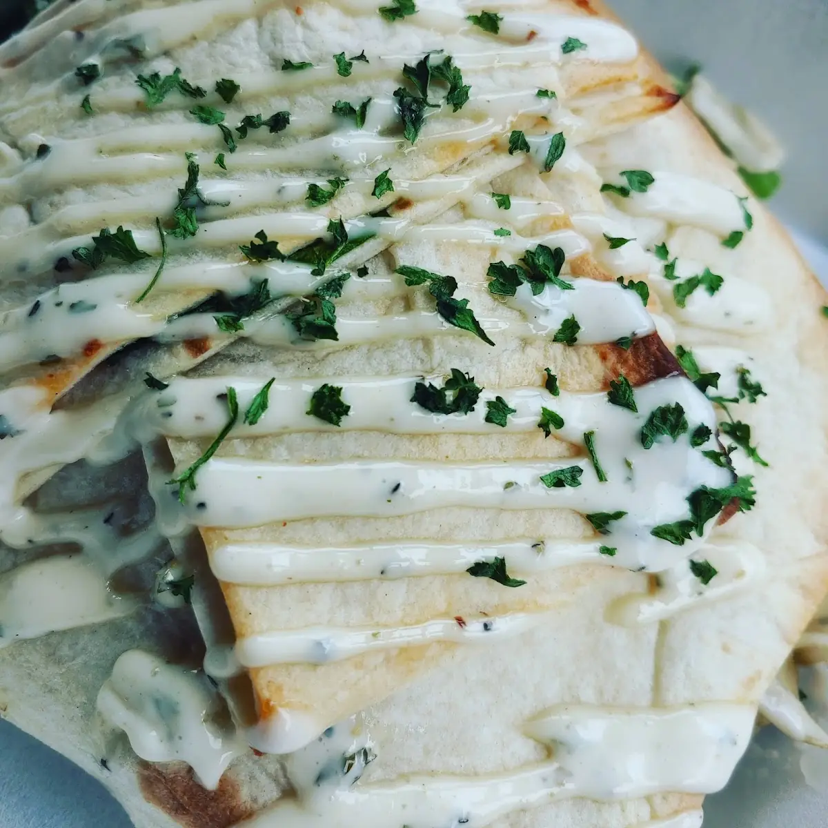 Cheesy Chicken Quesadilla