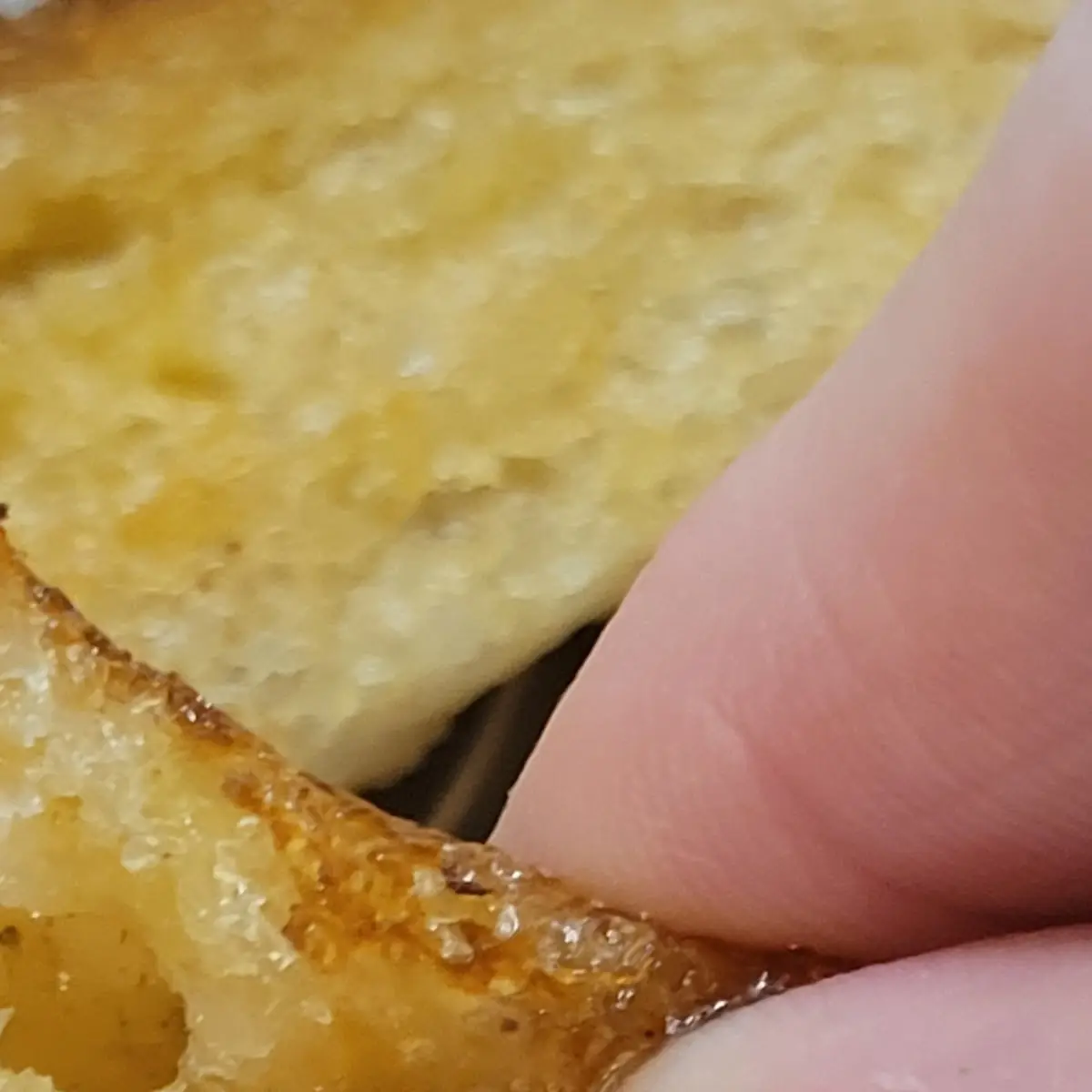 Patty Melt Sandwich