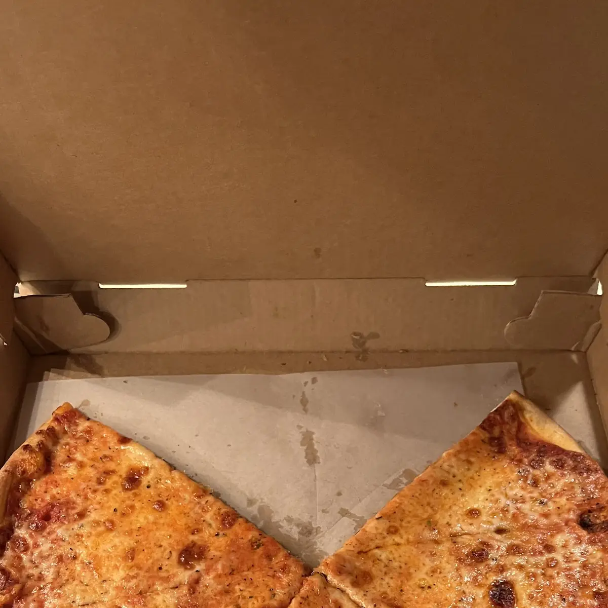 Plain Cheese Pizza