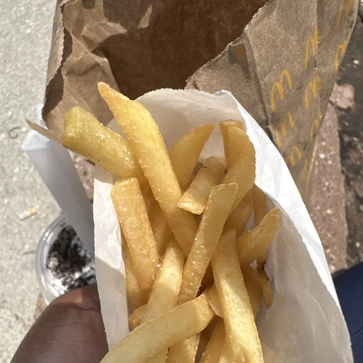 World Famous Fries