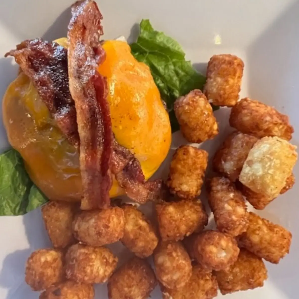 Pub Burger with Cheddar Cheese and Tots