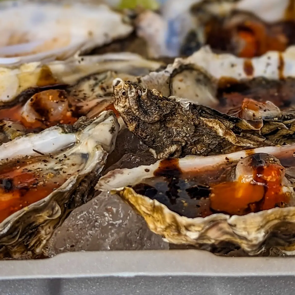 Oysters