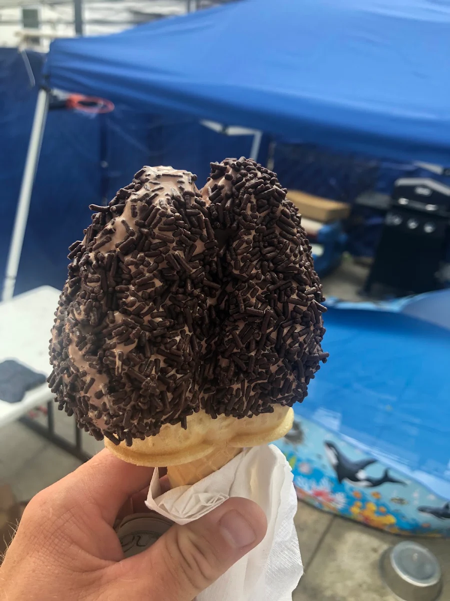 Double Chocolate Ice Cream Cone with Chocolate Sprinkles