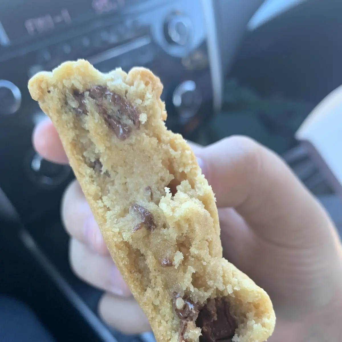 Chocolate Chip Cookie