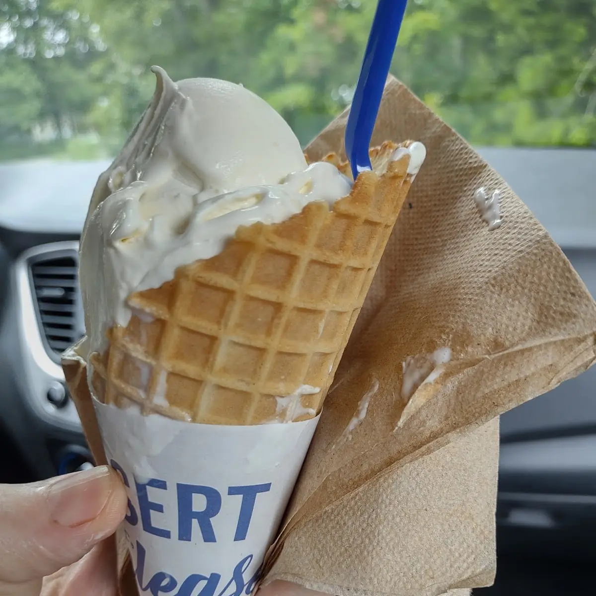 Frozen Custard