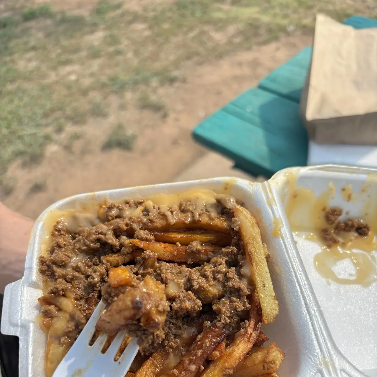 Chili Cheese Fries