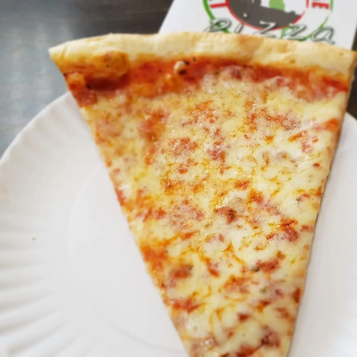 Plain Cheese Pizza