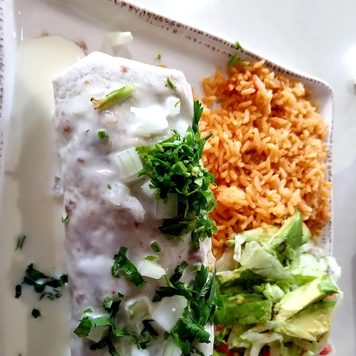 Combo 2 - Burrito, Enchilada, Rice and Beans