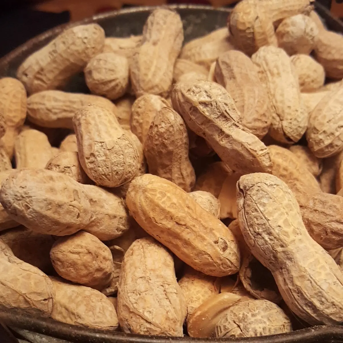 Roasted Peanuts Bucket