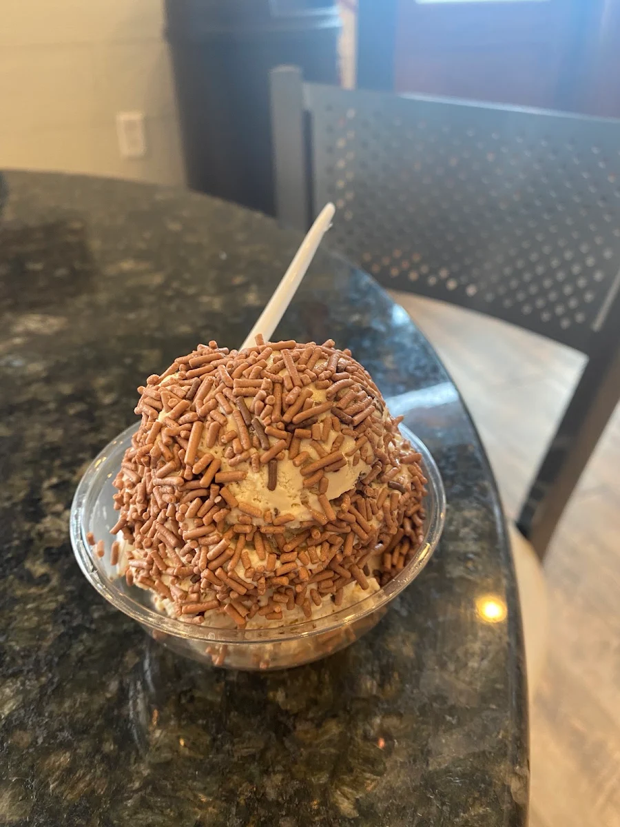 Chocolate Ice Cream with Sprinkles