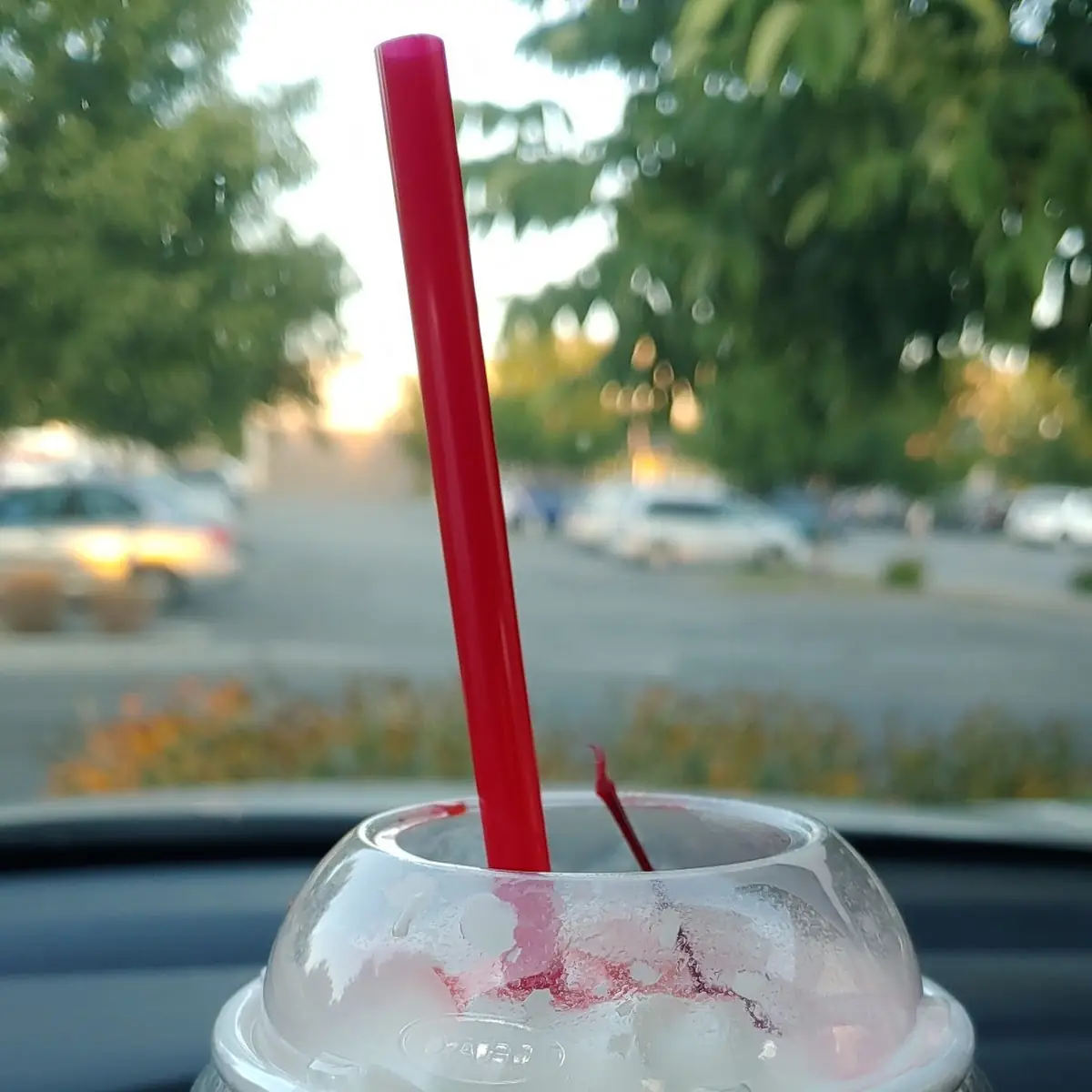 Vanilla Shake