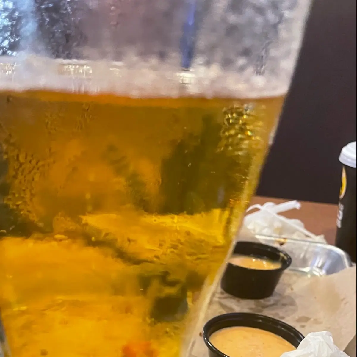 Domestic Pint Draft Beer