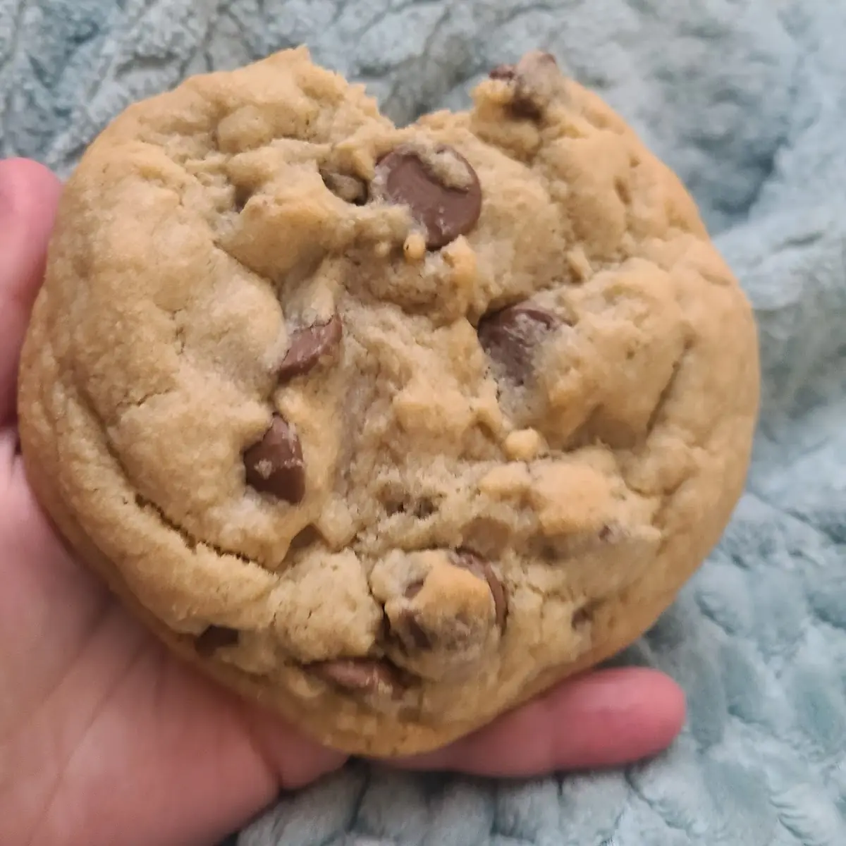 Milk Chocolate Chip
