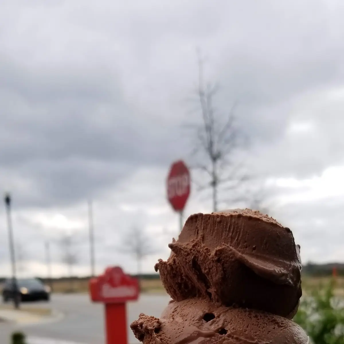 Double Waffle Cone