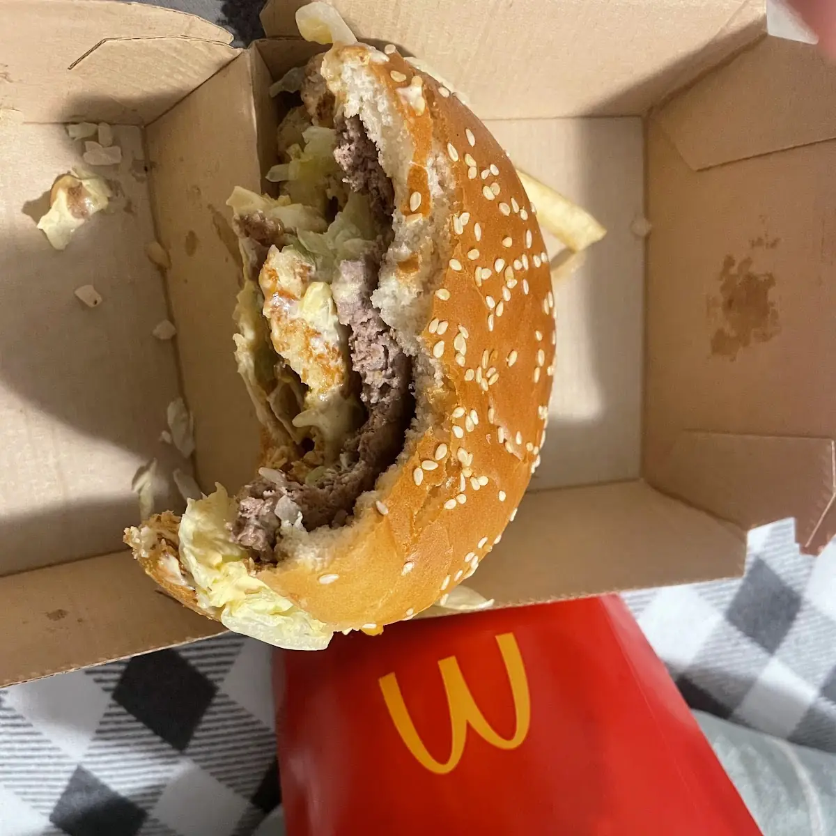 Big Mac and Fries