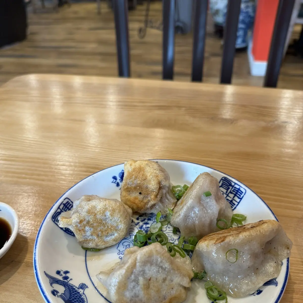 Pan Fried Veggie Dumplings