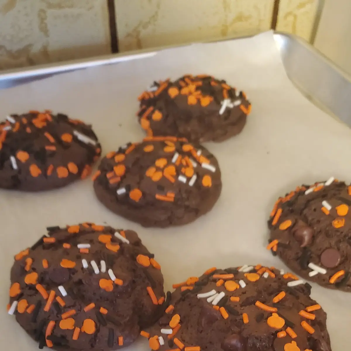 Double Chocolate Chip Cookie