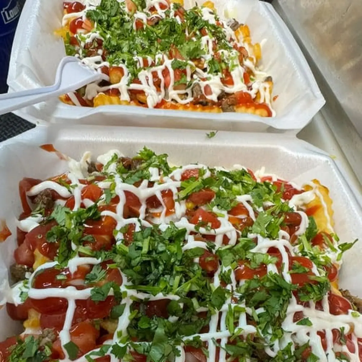 Loaded Fries with Birria