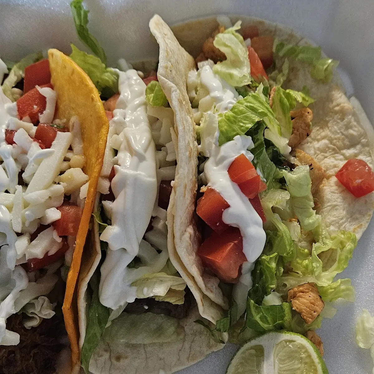 Steak Birria and Chicken Tacos