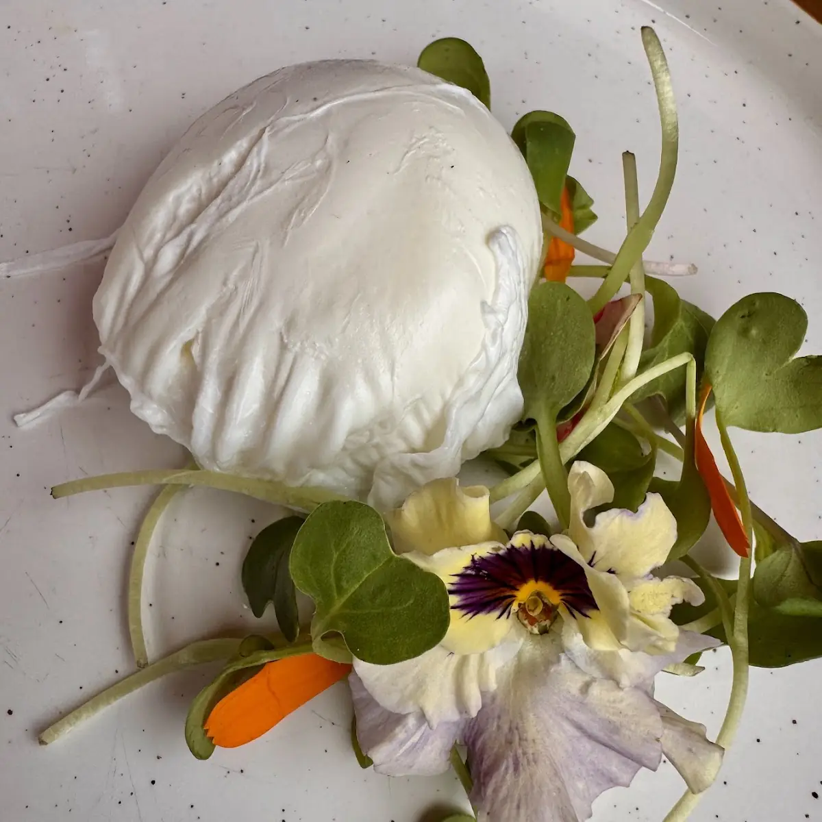Poached Egg