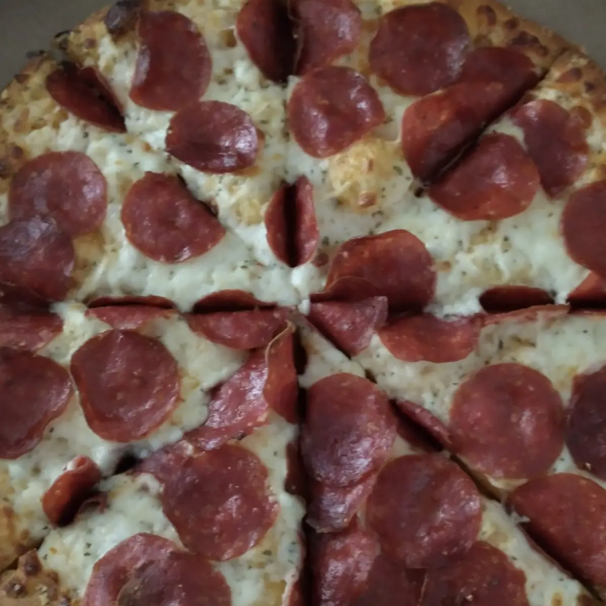Extra Pepperoni Pizza
