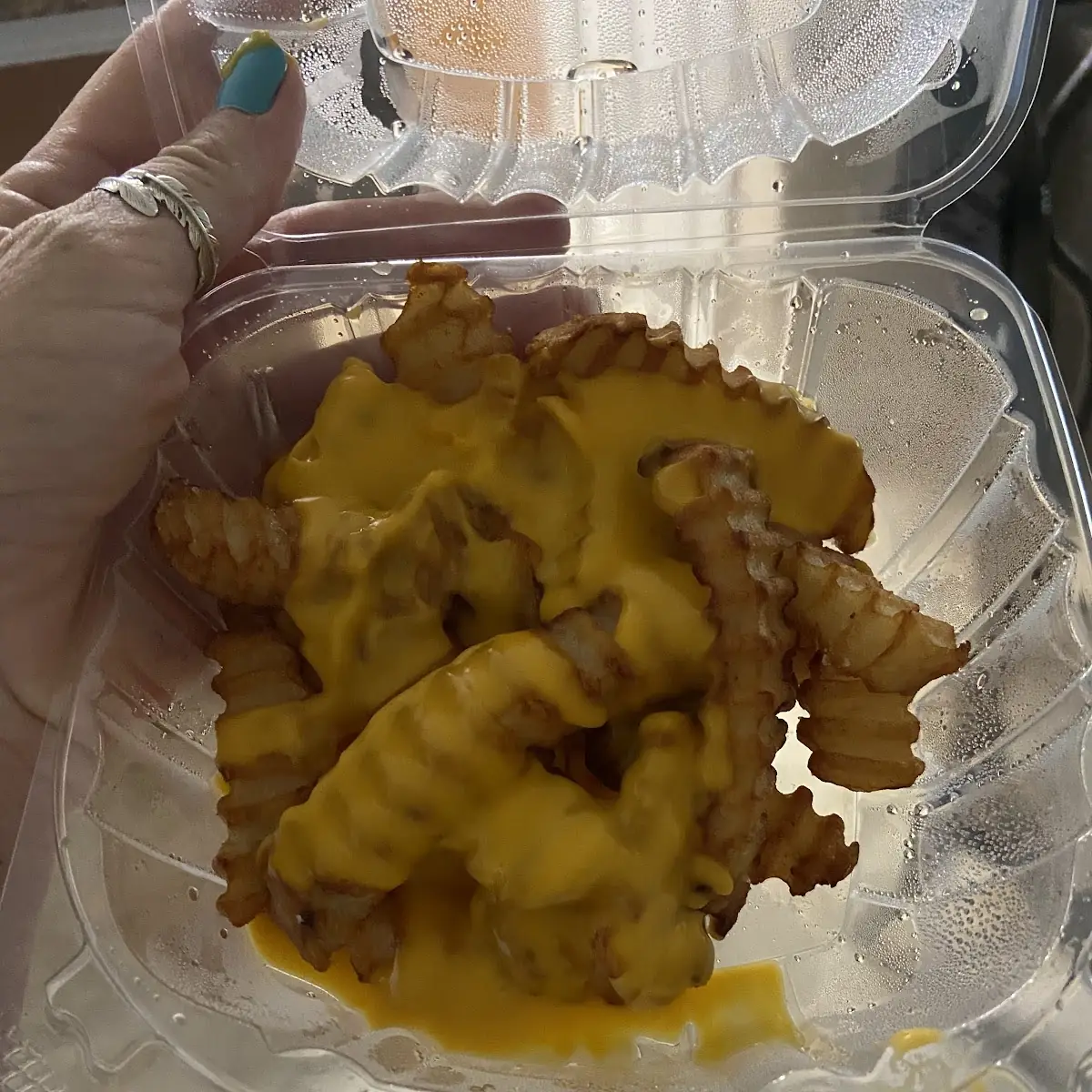 Cheese Fries