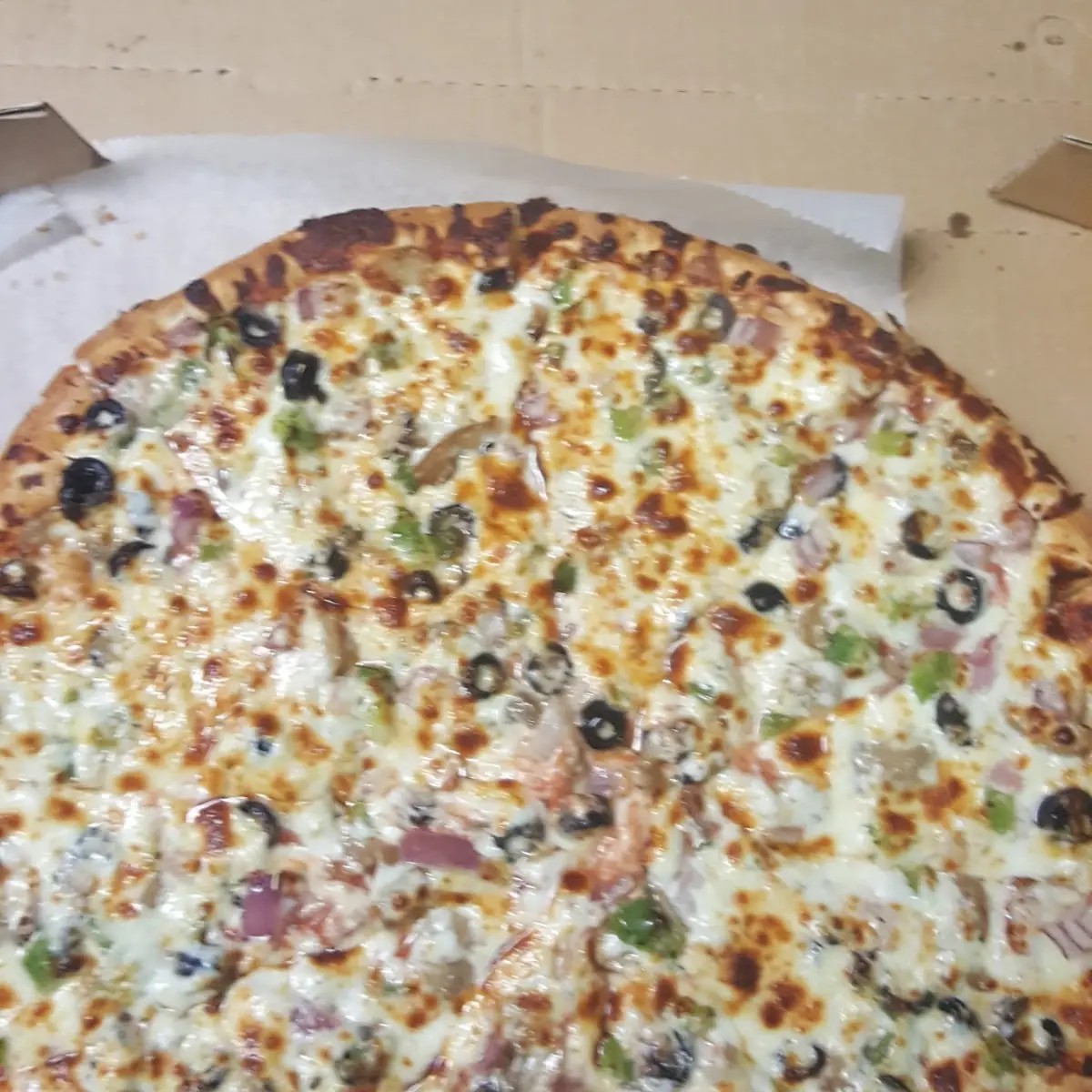 Vegetarian Pizza