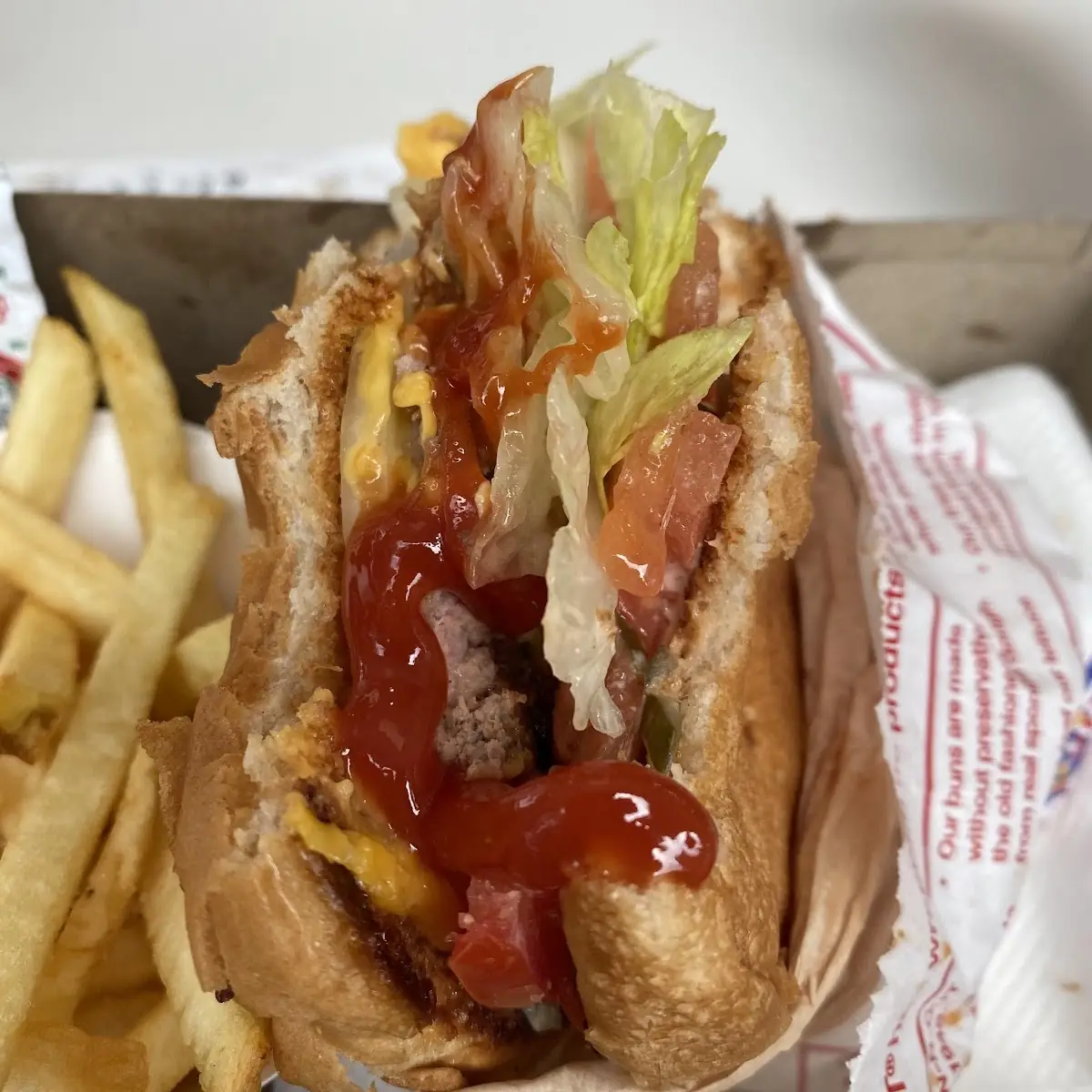 Cheese Burger and Fries