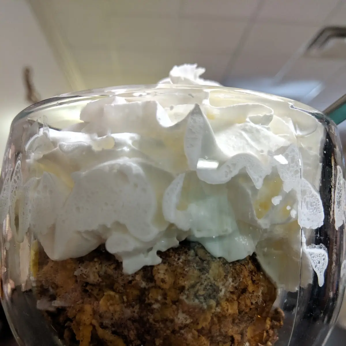 Fried Ice Cream