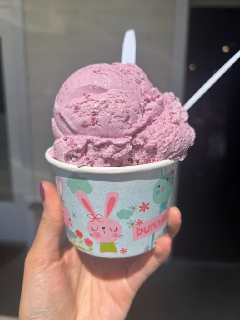 Blackberry Lavender Ice Cream