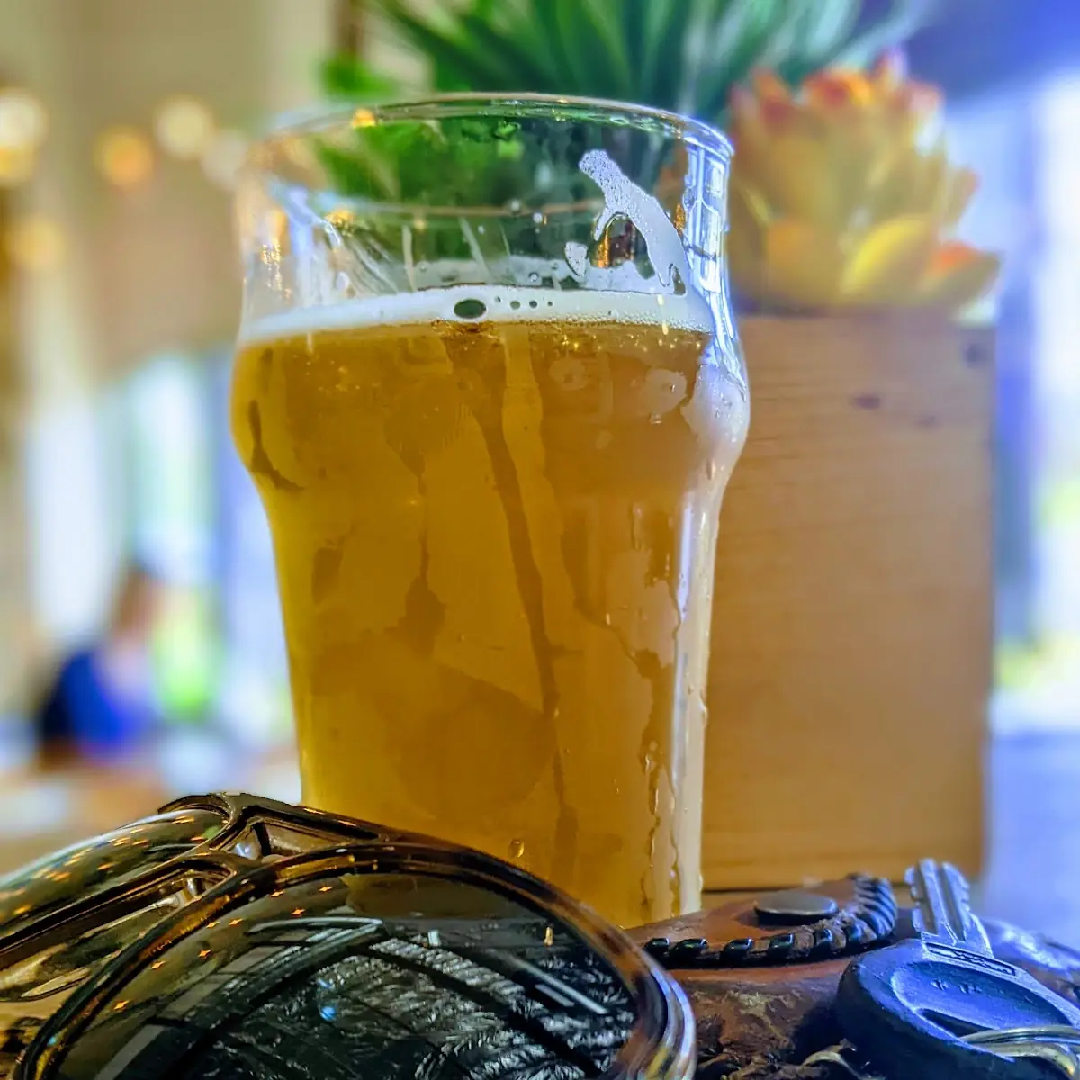 Carlsbad Crush Pale Ale by Burgeon Brewery