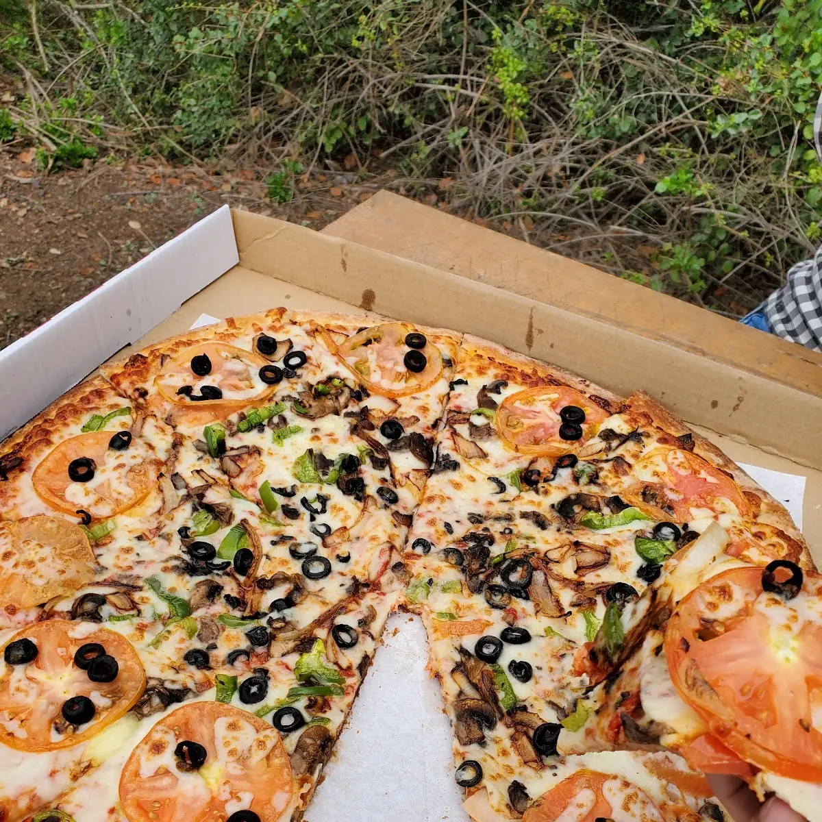 Veggie Pizza