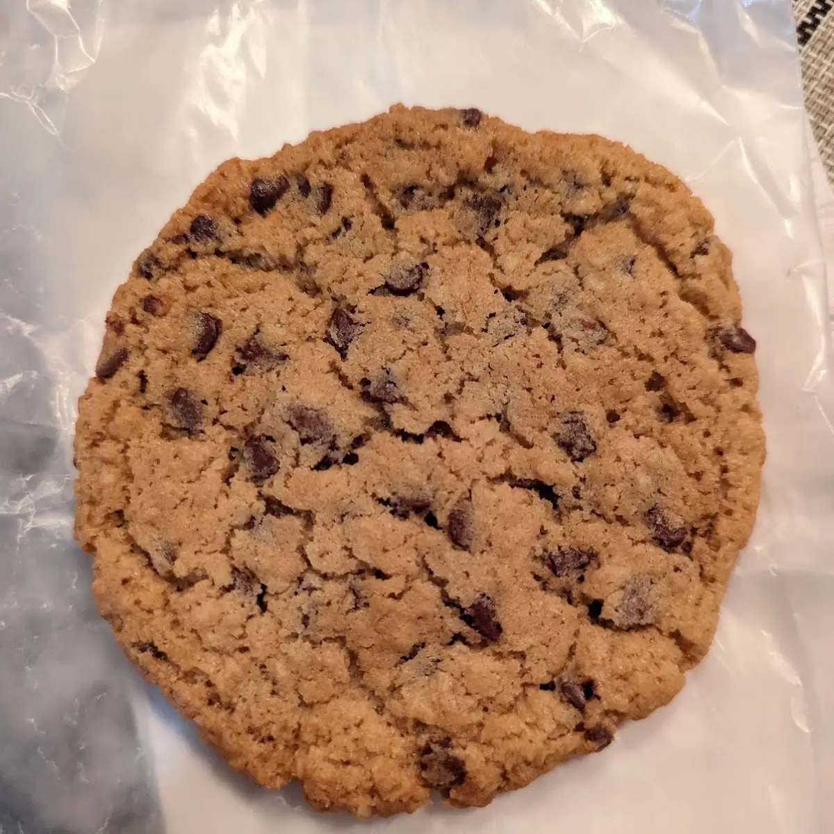 Chocolate Chip Cookie