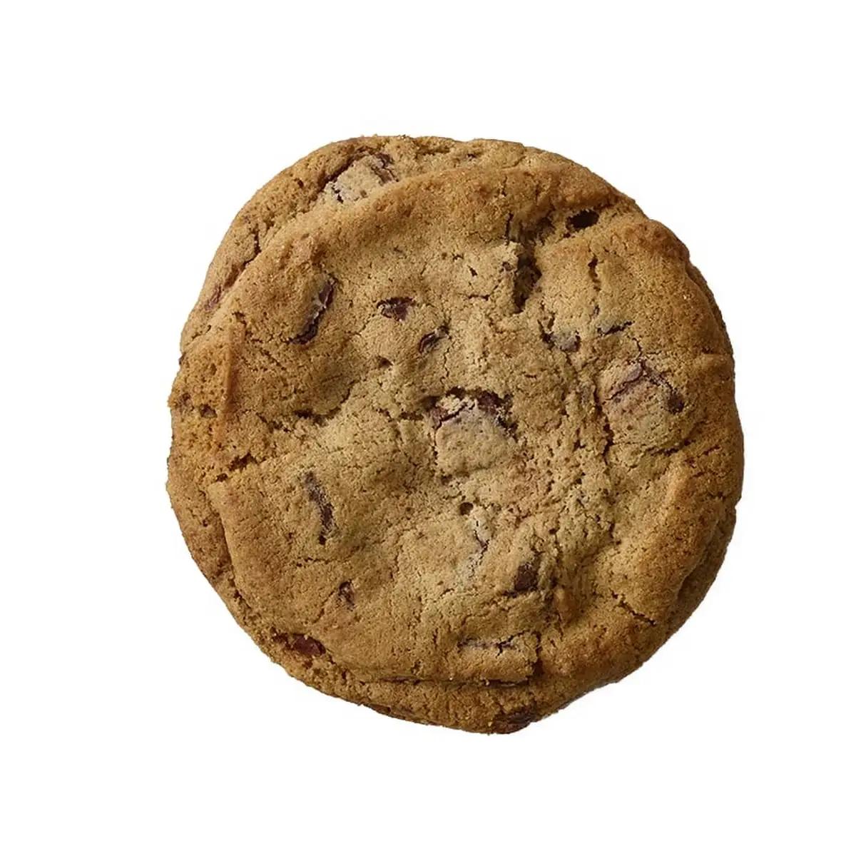 CHOCOLATE CHIP COOKIE