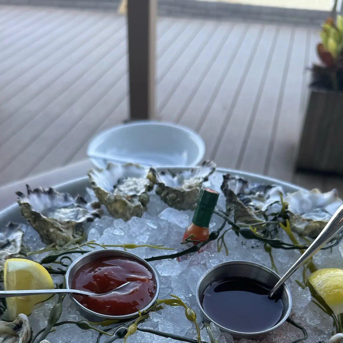 Oysters on the Half Shell